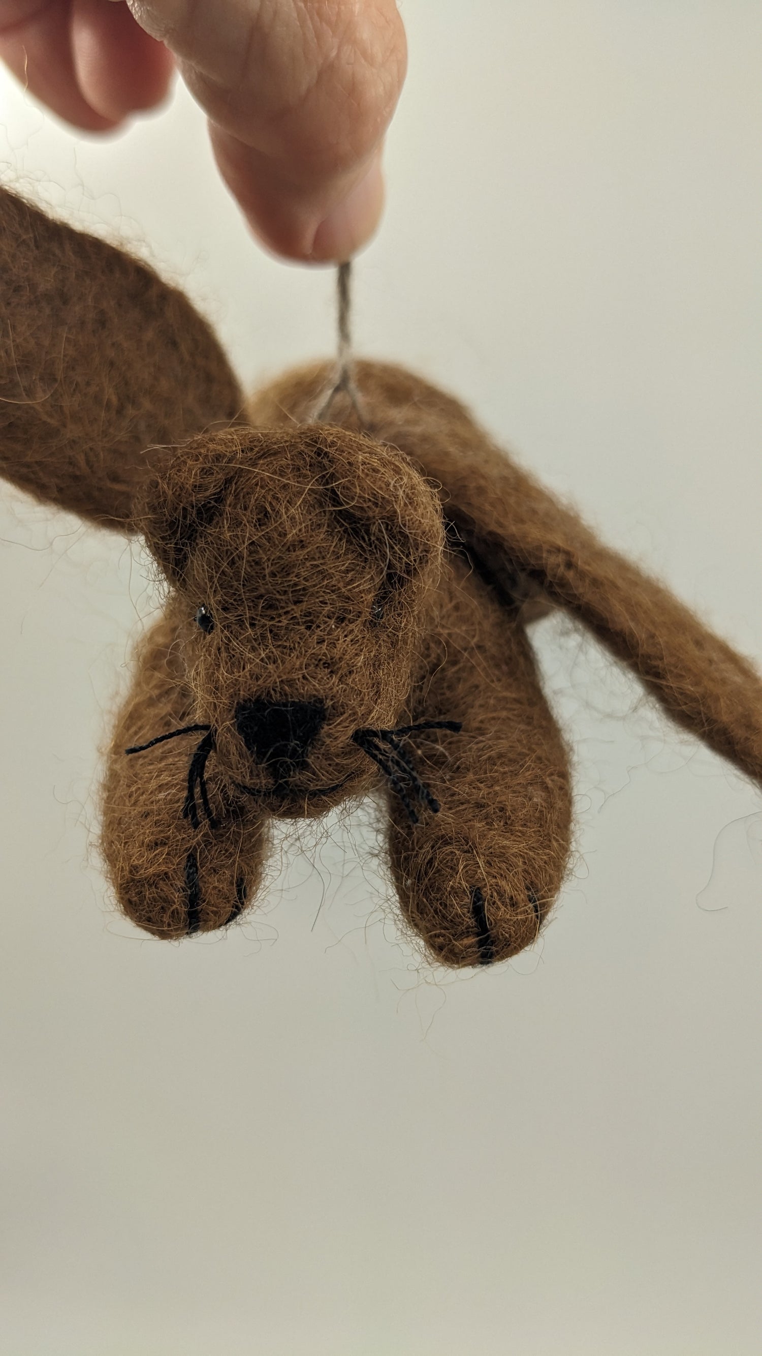 Angel Cat— Studio
