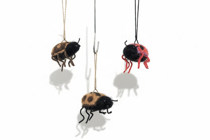 Lady Bug— Studio