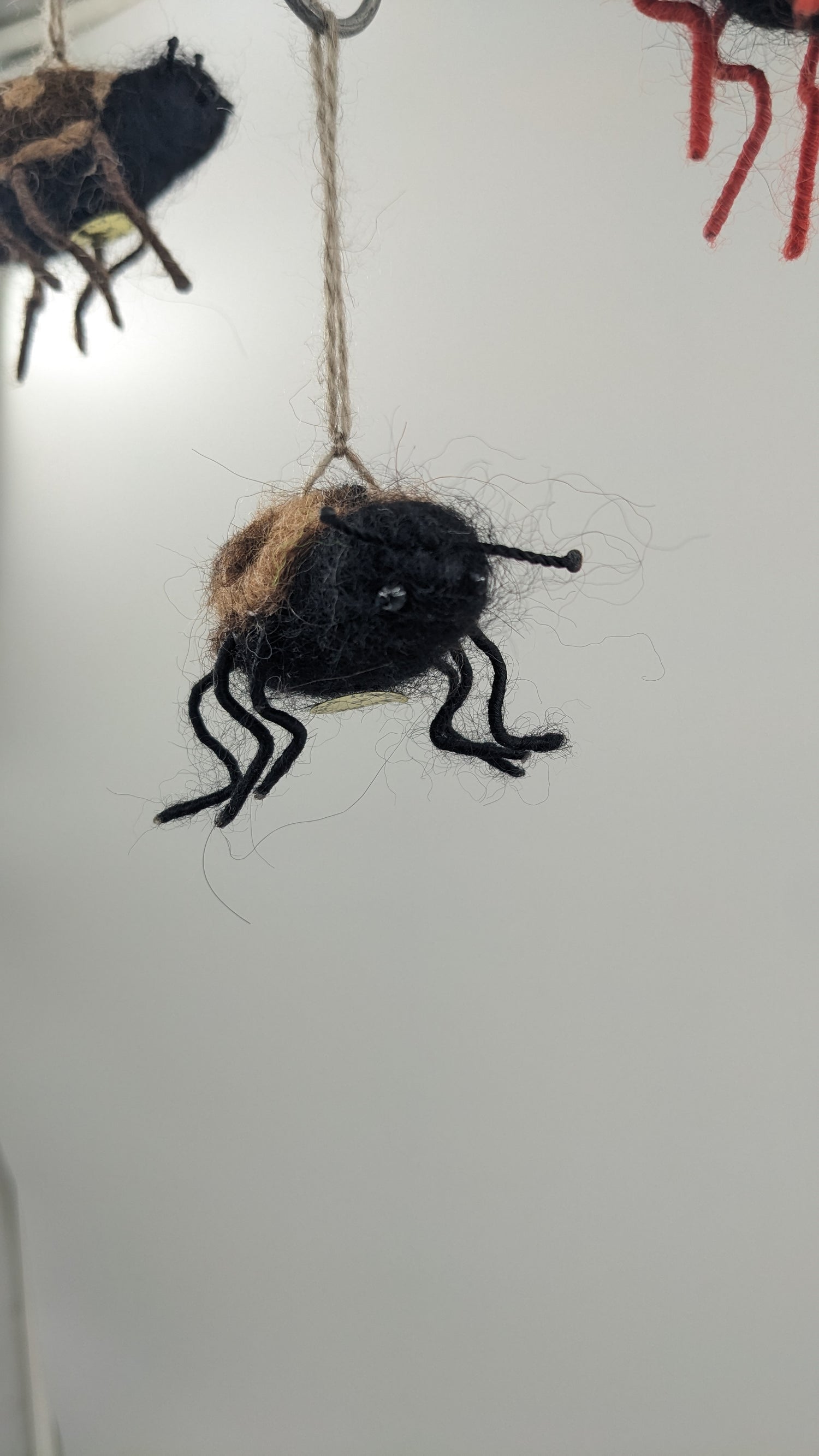 Lady Bug— Studio