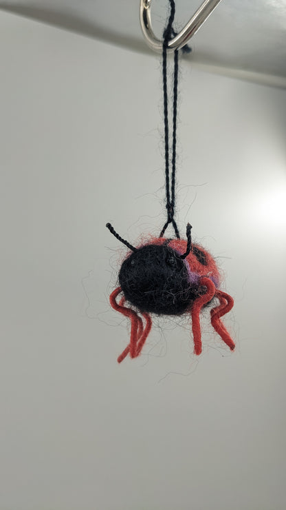 Lady Bug— Studio