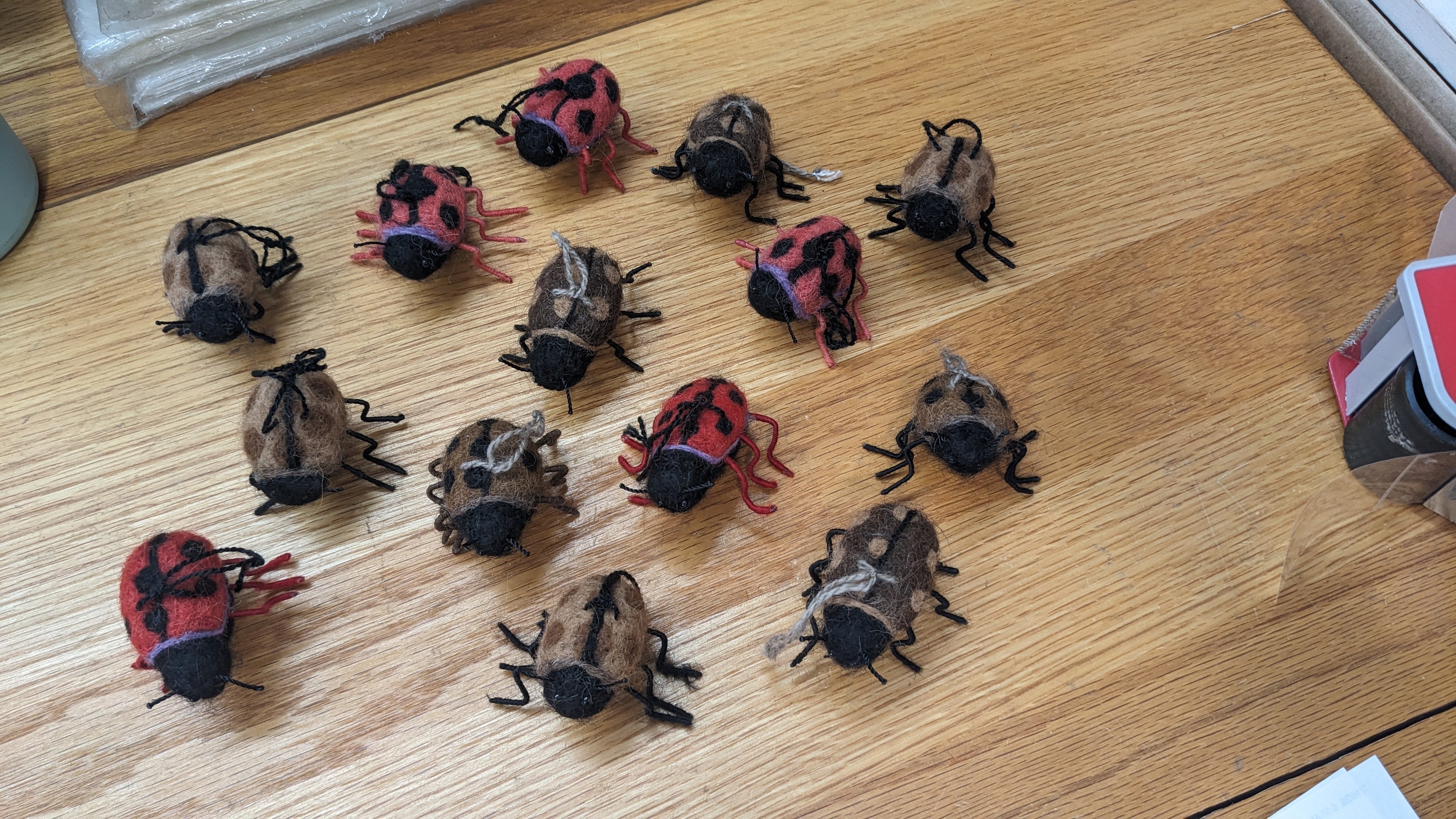 Lady Bug— Studio