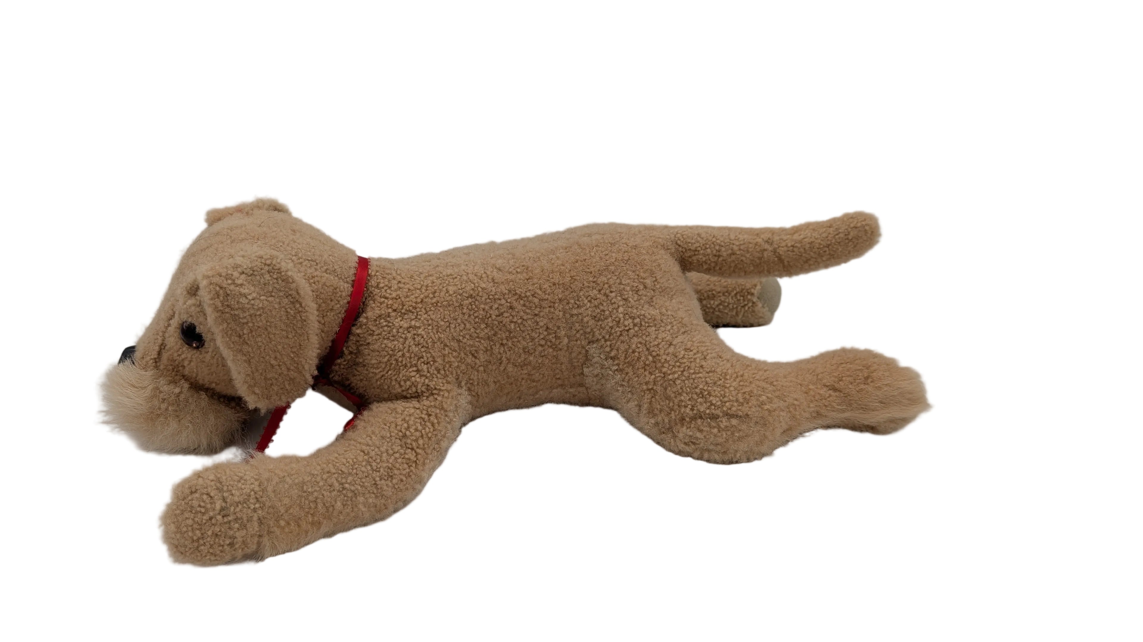 Merino Dog — Studio
