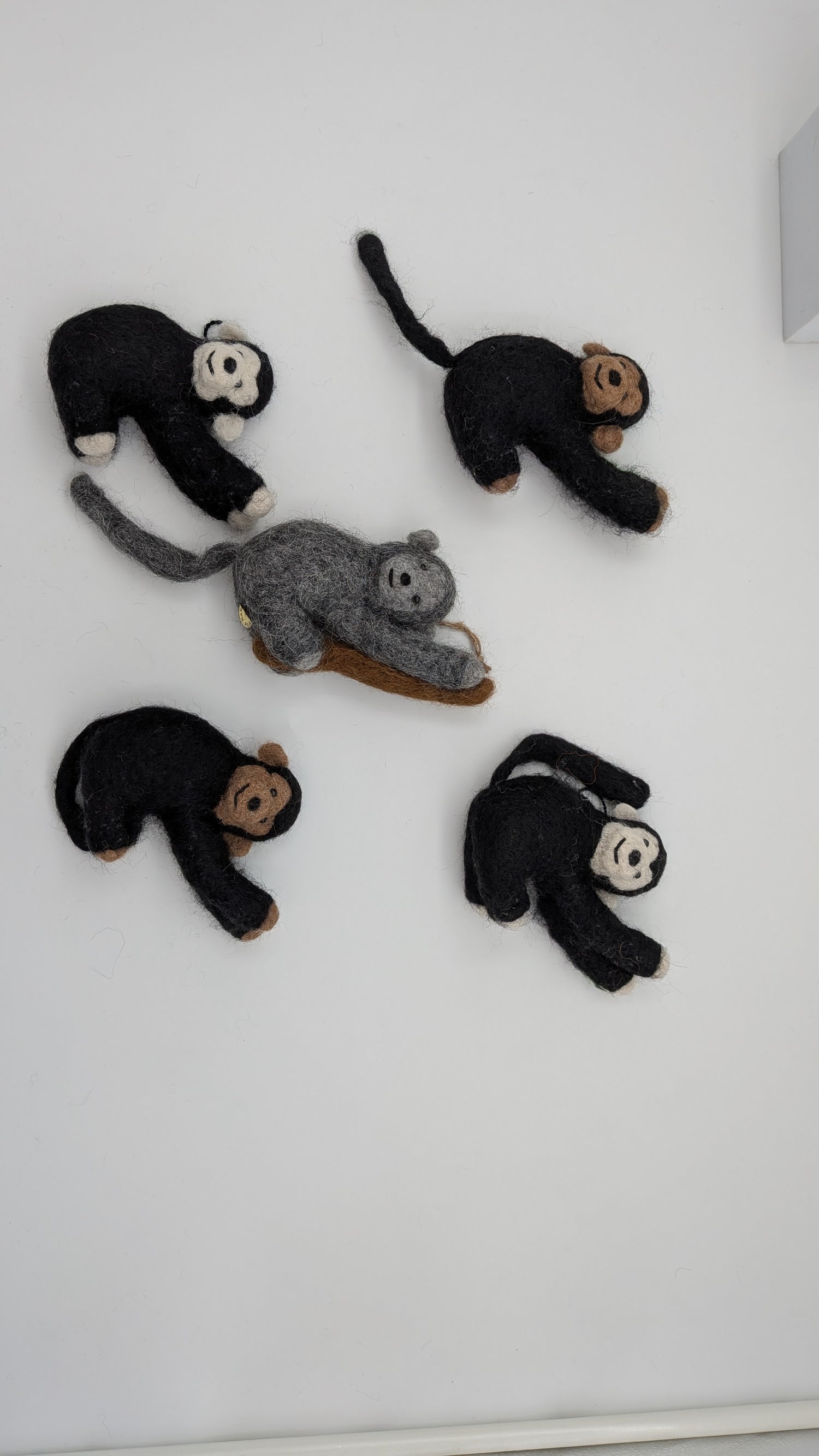 Monkey Set of 3 — Studio