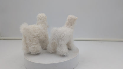 Fuzzy Goat — Studio
