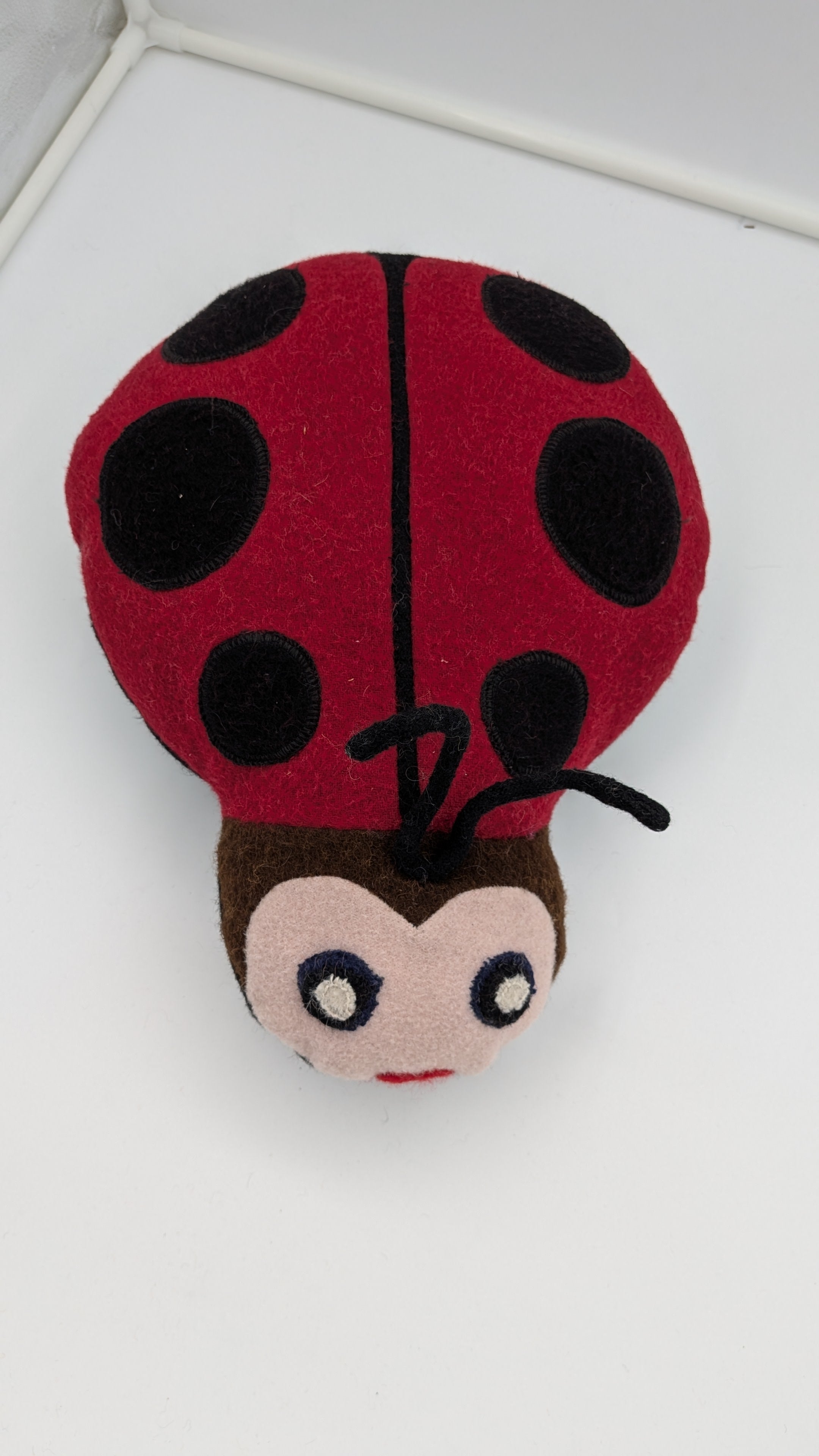 Animal Pillow Set—Studio