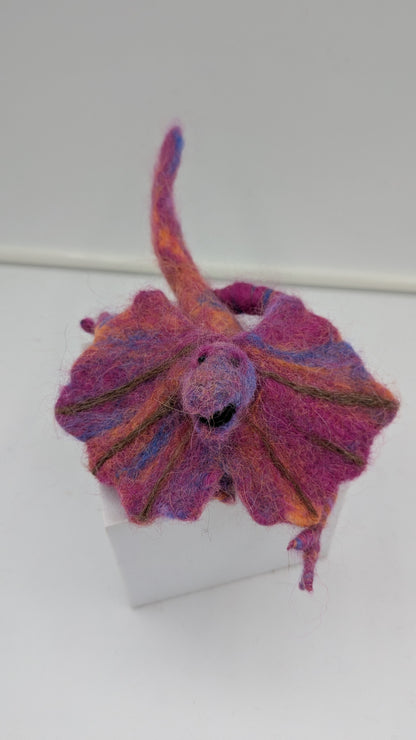 Frilled-neck Lizard — Studio