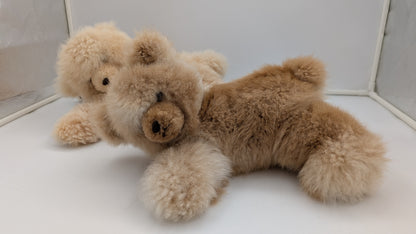 Chill Out Bear — Studio