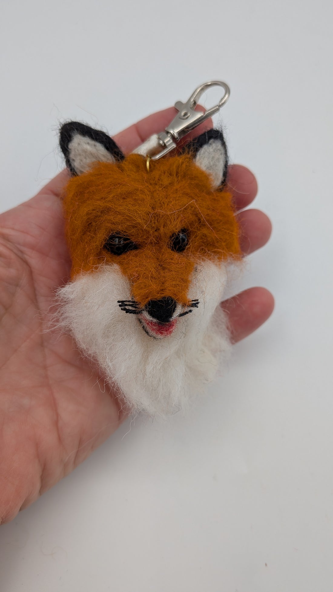 The Fox Charm — Studio