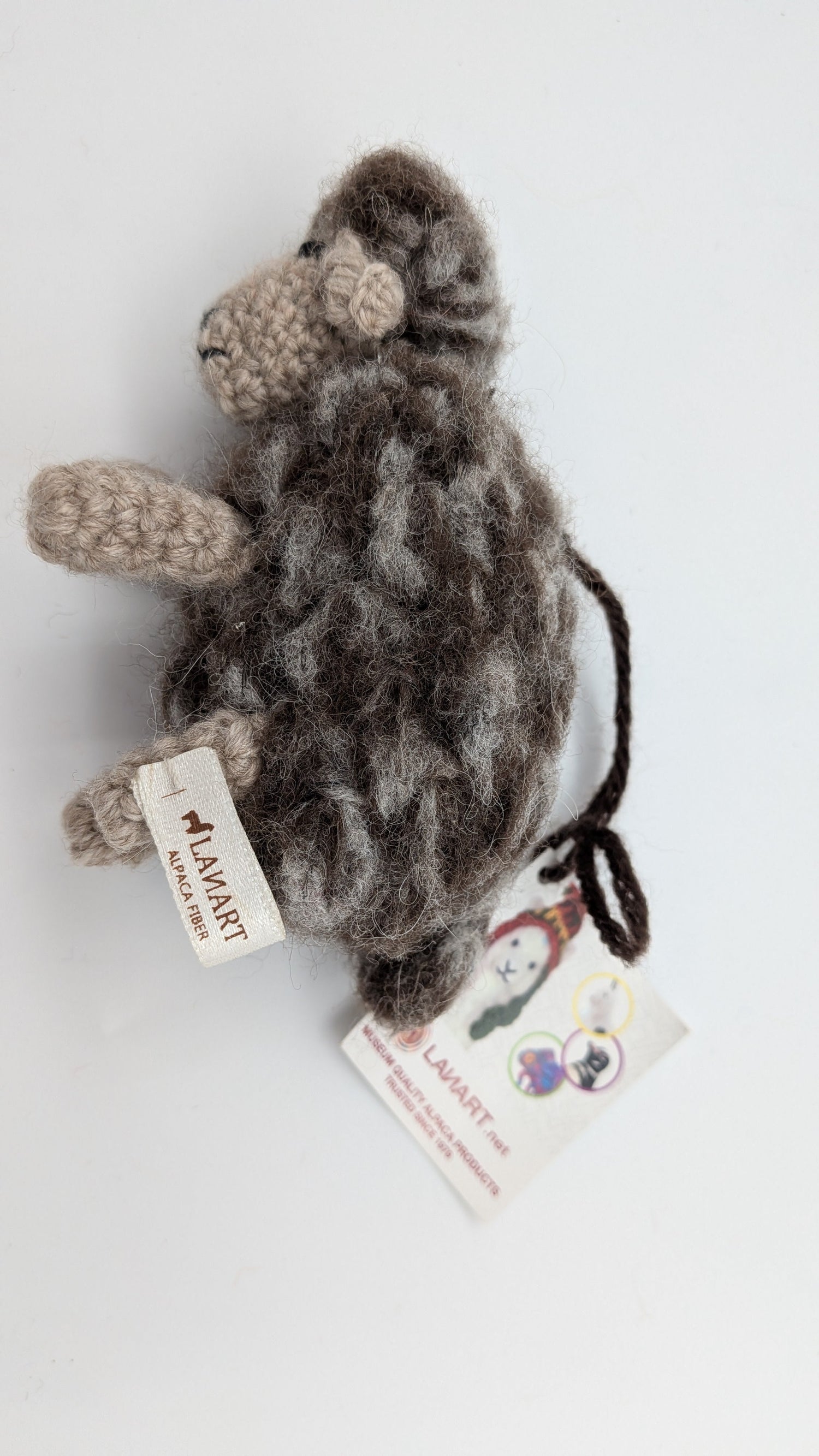 Lamb Set — Studio