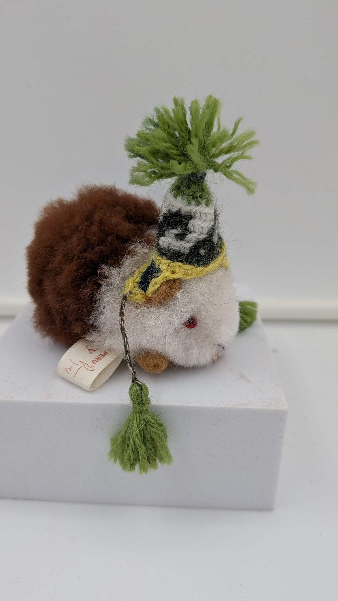 Furry Guinea Pig — Studio