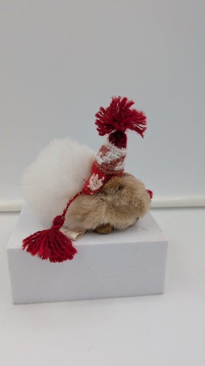Furry Guinea Pig — Studio