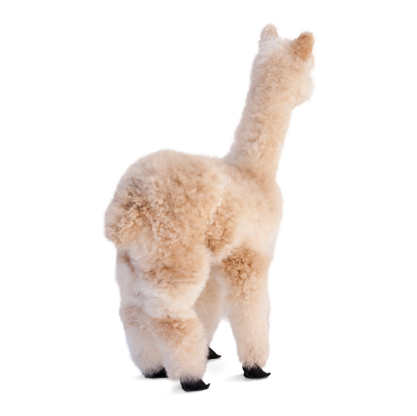 Sweet Pea Plush Alpaca 22&quot;