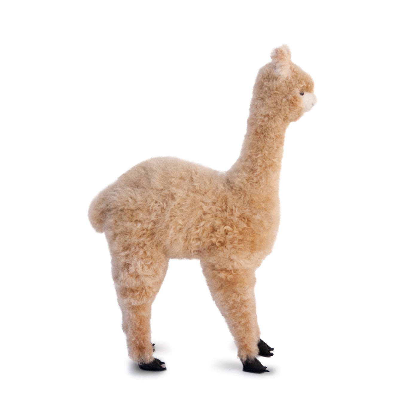 Sweet Pea Plush Alpaca 22&quot;