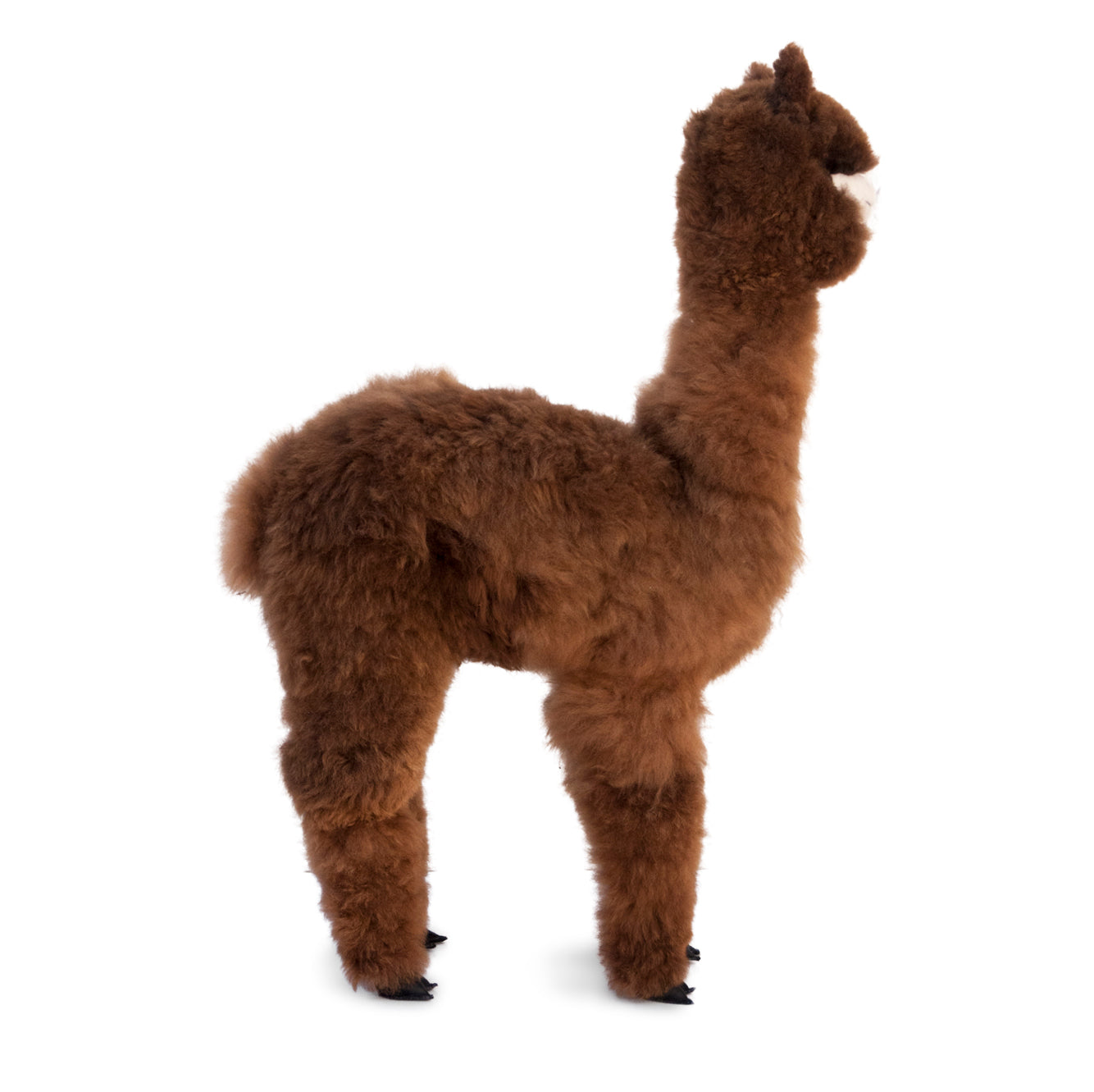 Buttercup Plush Alpaca 29&quot;