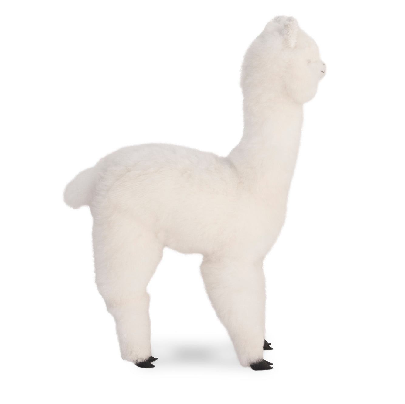 Buttercup Plush Alpaca 29&quot;