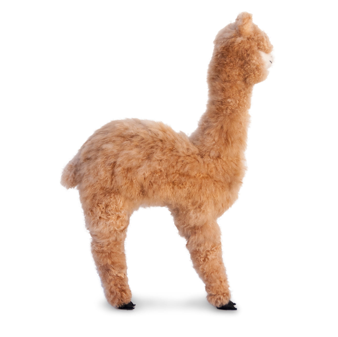 Buttercup Plush Alpaca 29&quot;