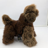 Brown teddy bear with a tag on a white background