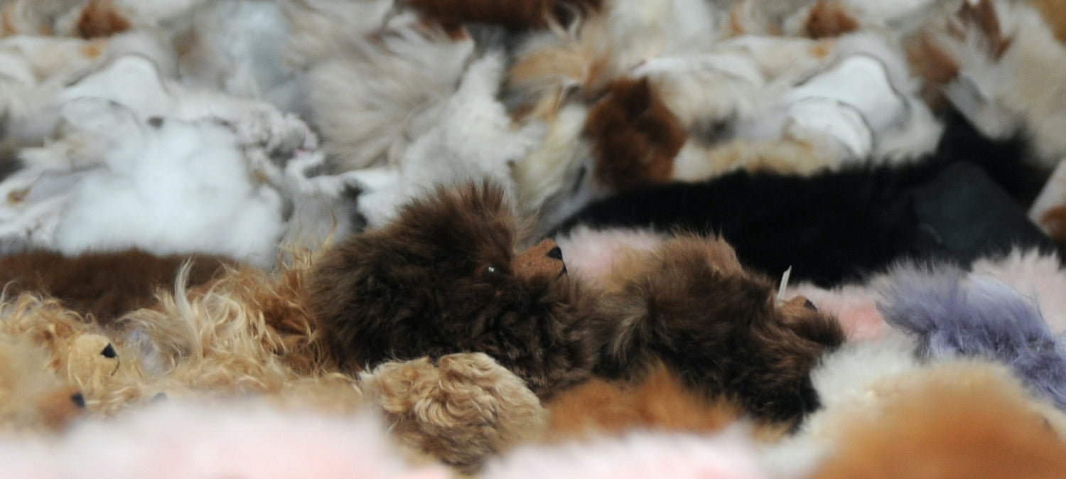 Quality-inside-and-out-Bears-Horizontal