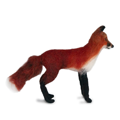 Red Fox