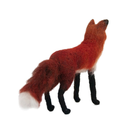 Red Fox