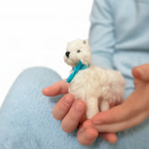 Small white dog with a blue ribbon held in hands against a blurred background