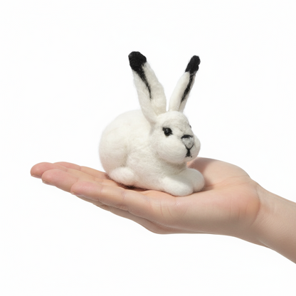 Arctic Hare
