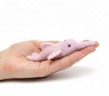 Amazon River Dolphin