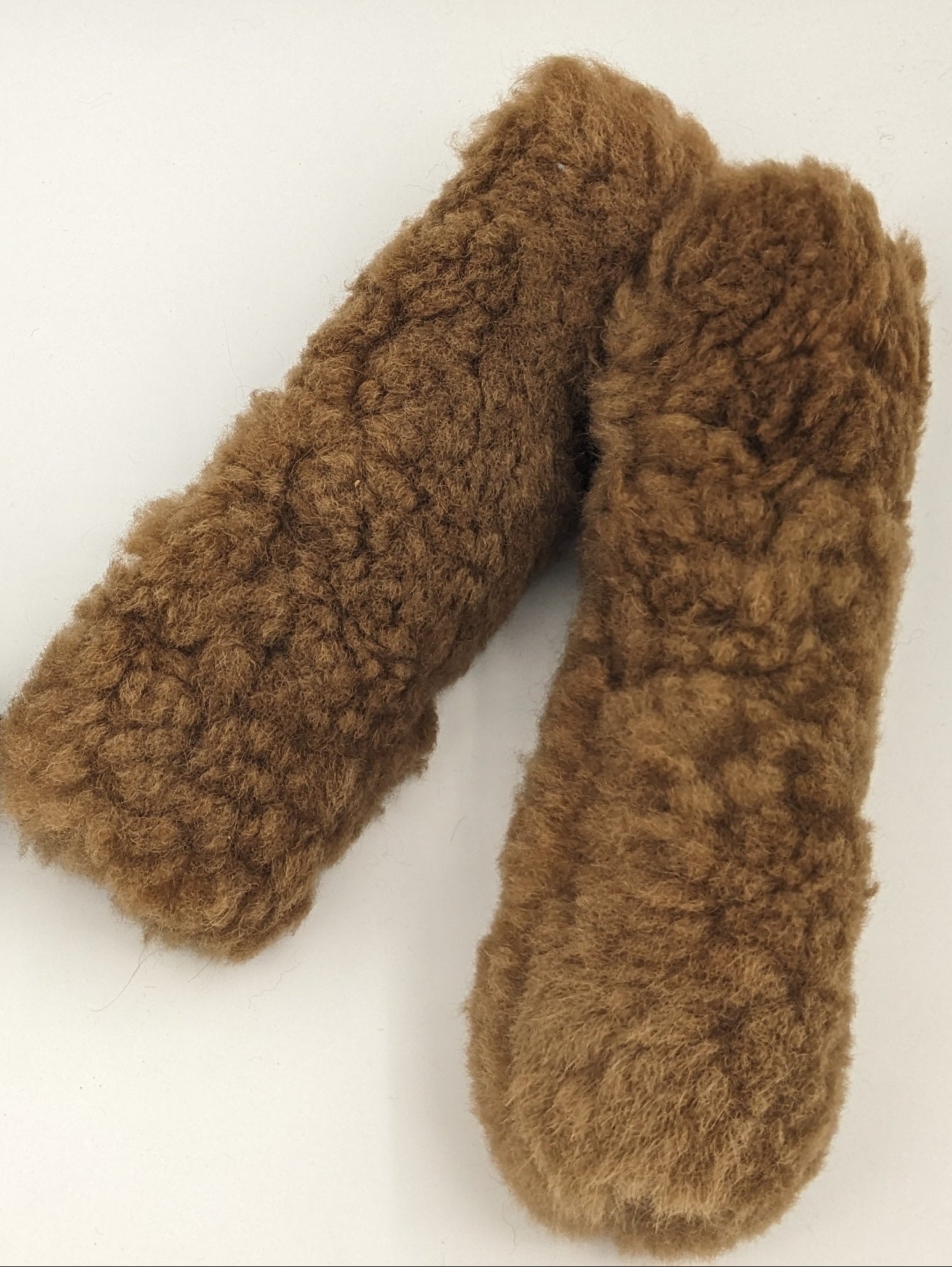 Seat Belt Cover — Studio