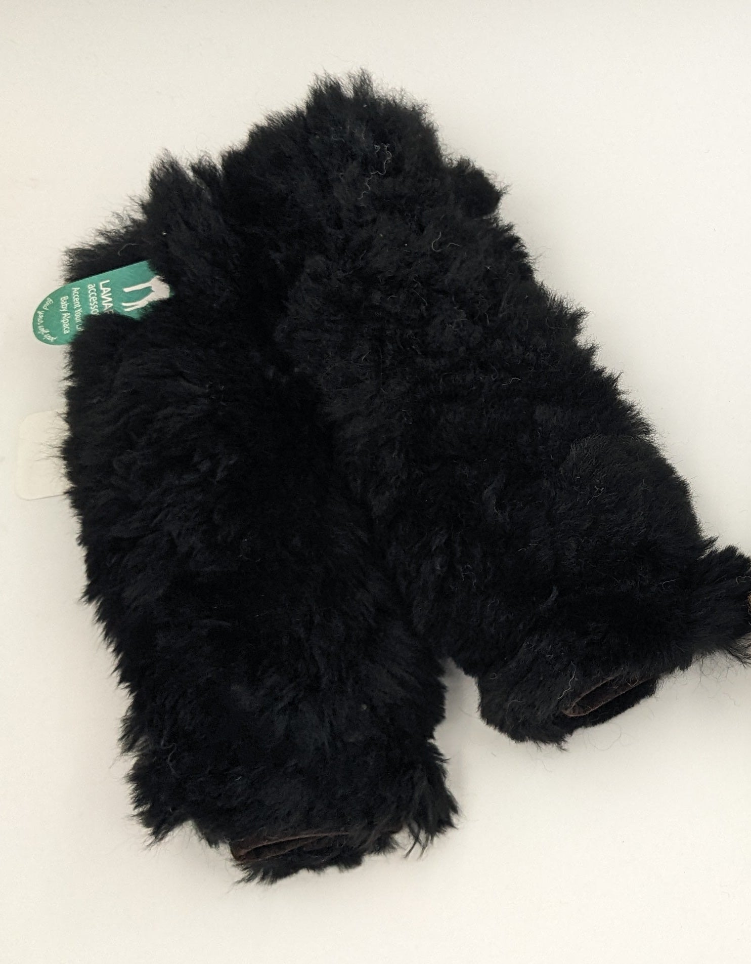 Seat Belt Cover — Studio