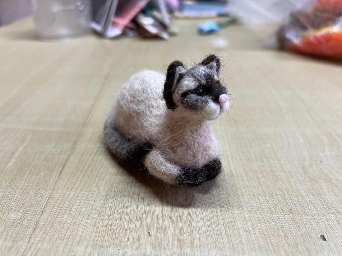 Siamese Cat