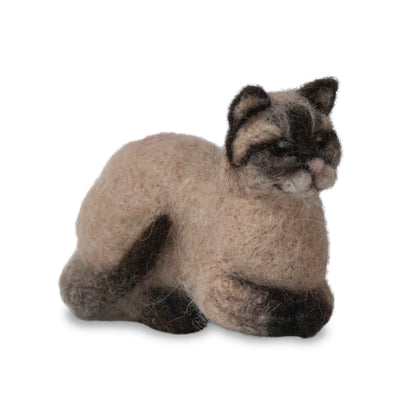 Siamese Cat