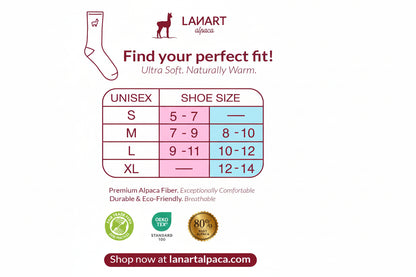 Lanart Alpaca shoe size chart with sizing guide and brand logo on a white background