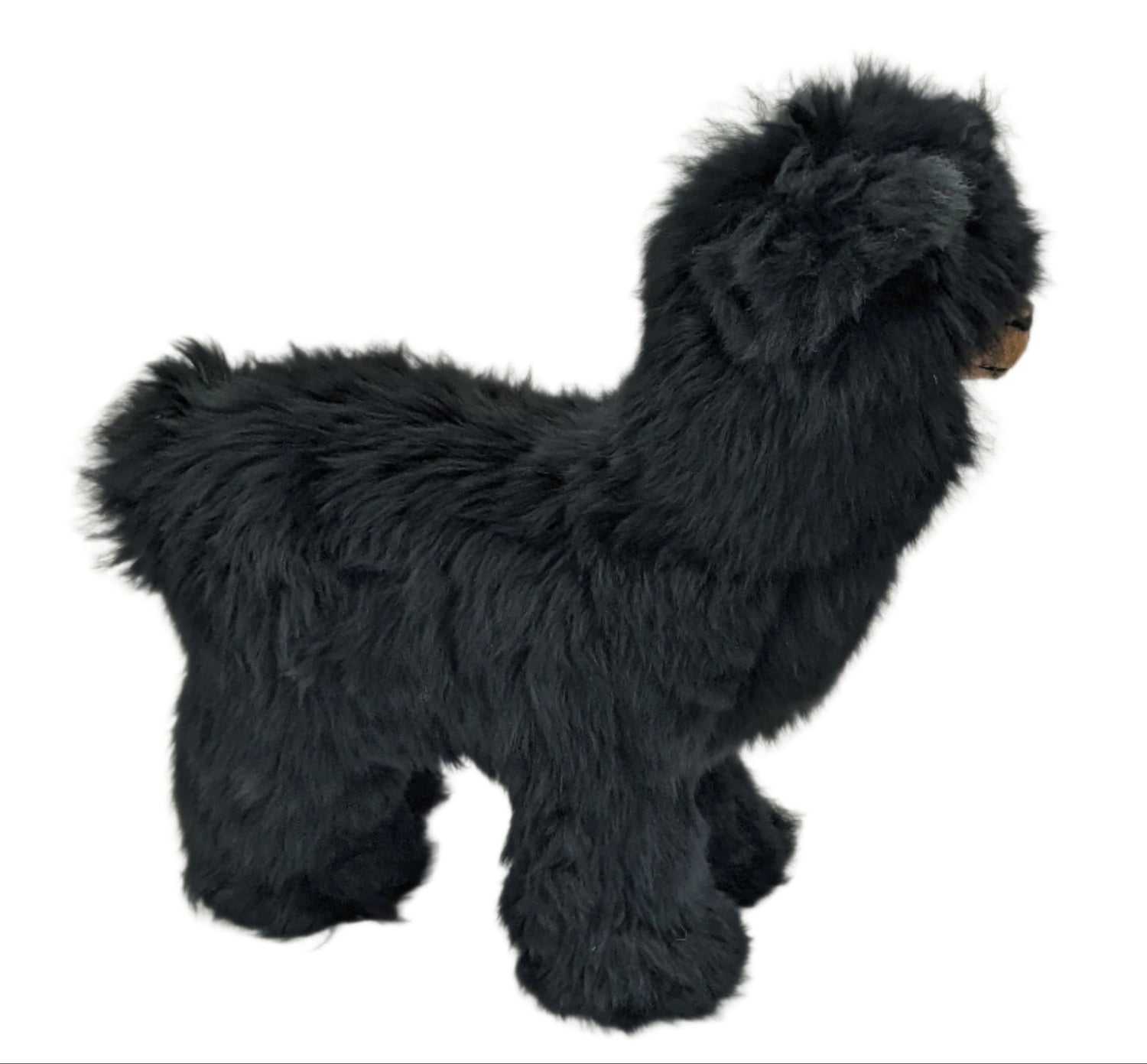Suri Alpaca Black