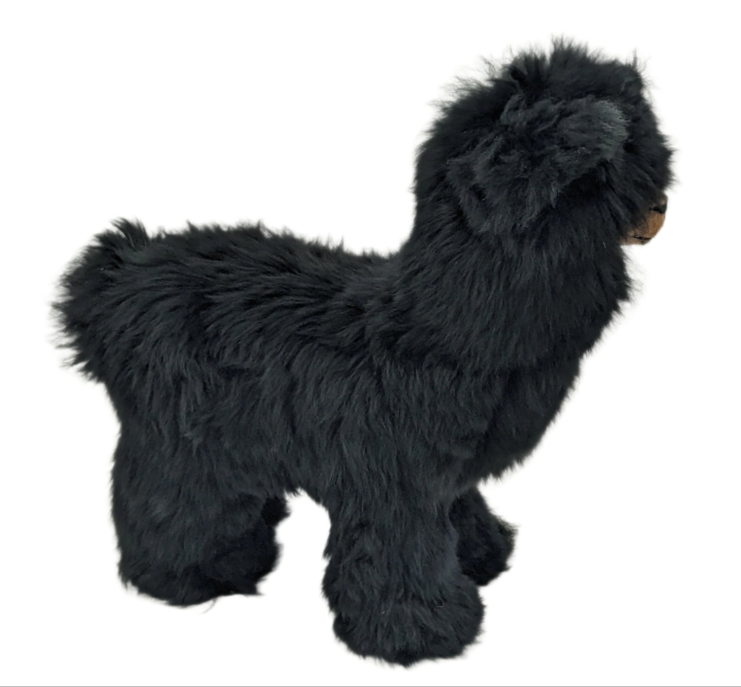 Suri Alpaca Black