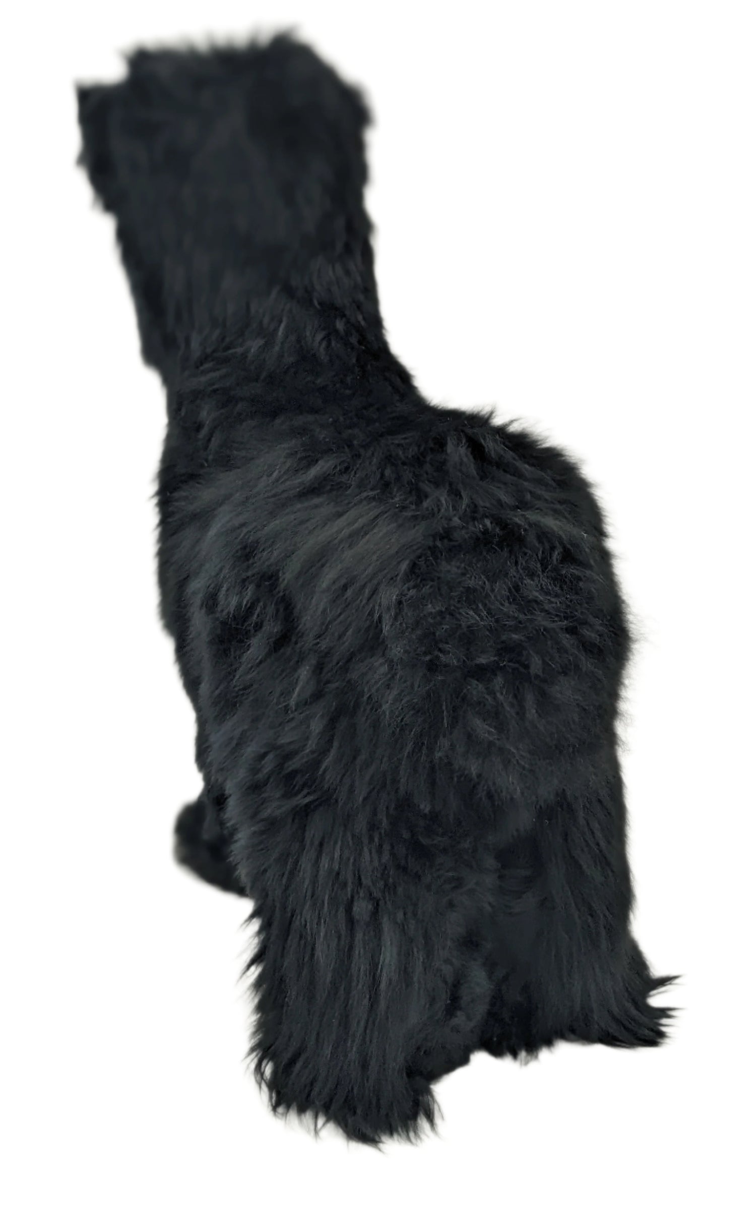 Suri Alpaca Black