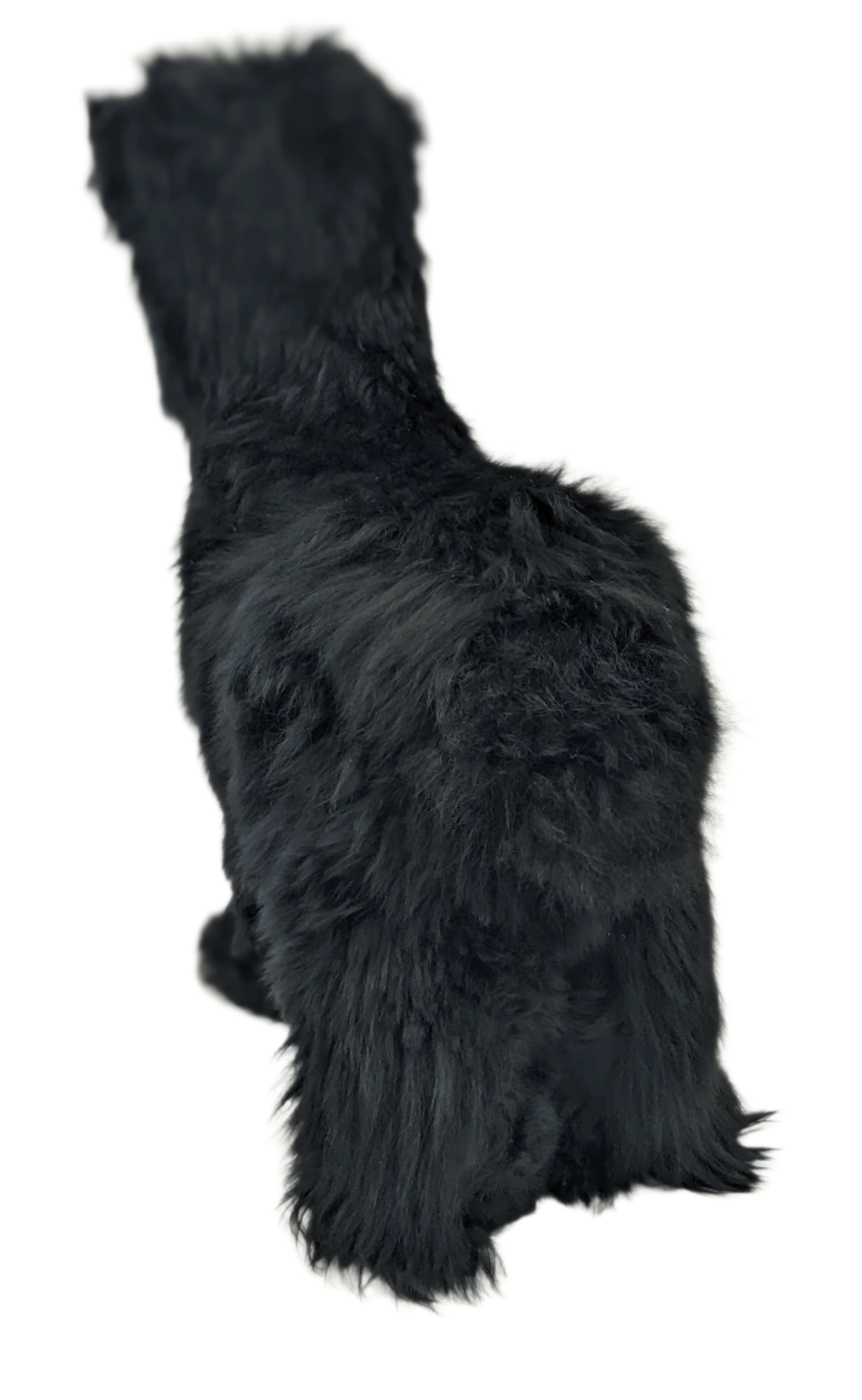 Suri Alpaca Black