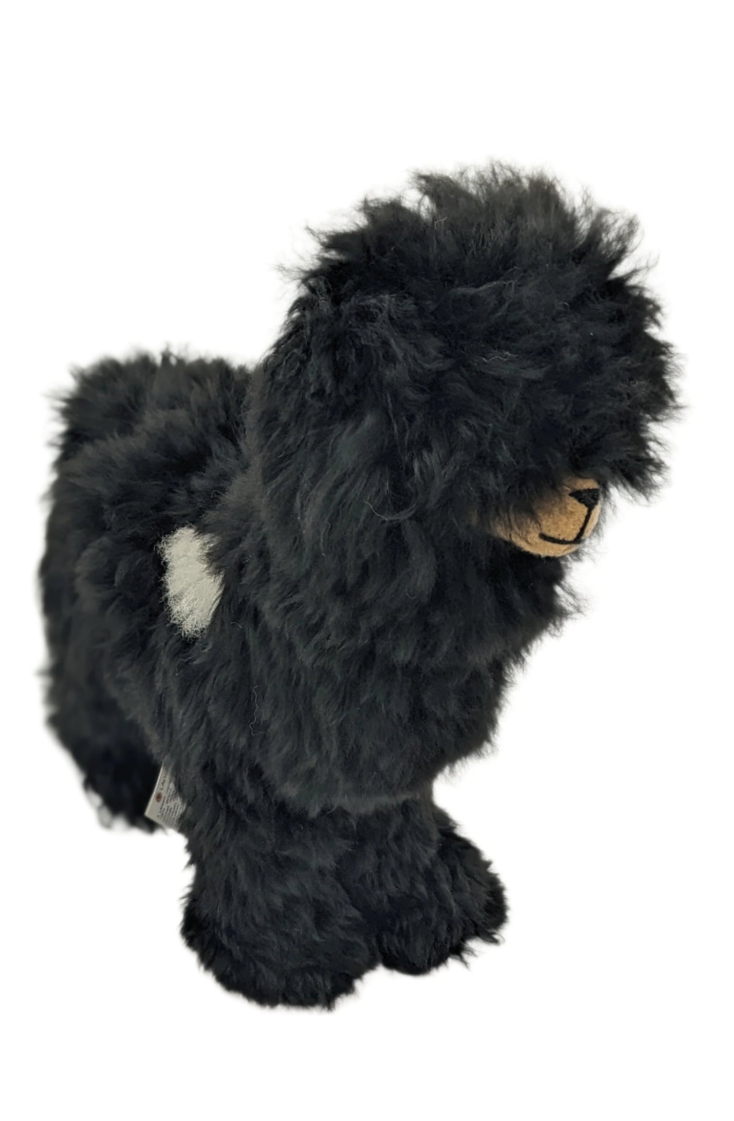 Suri Alpaca Black