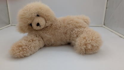 Chill Out Bear — Studio