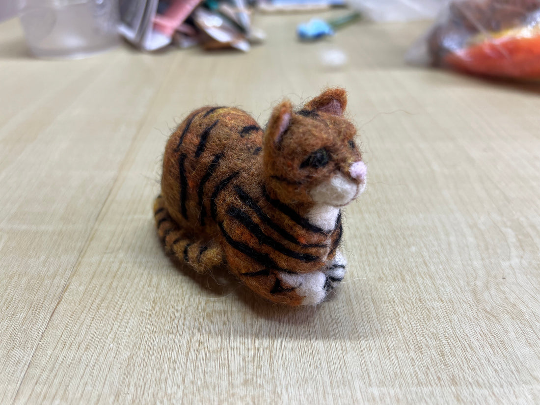 Tabby Cat