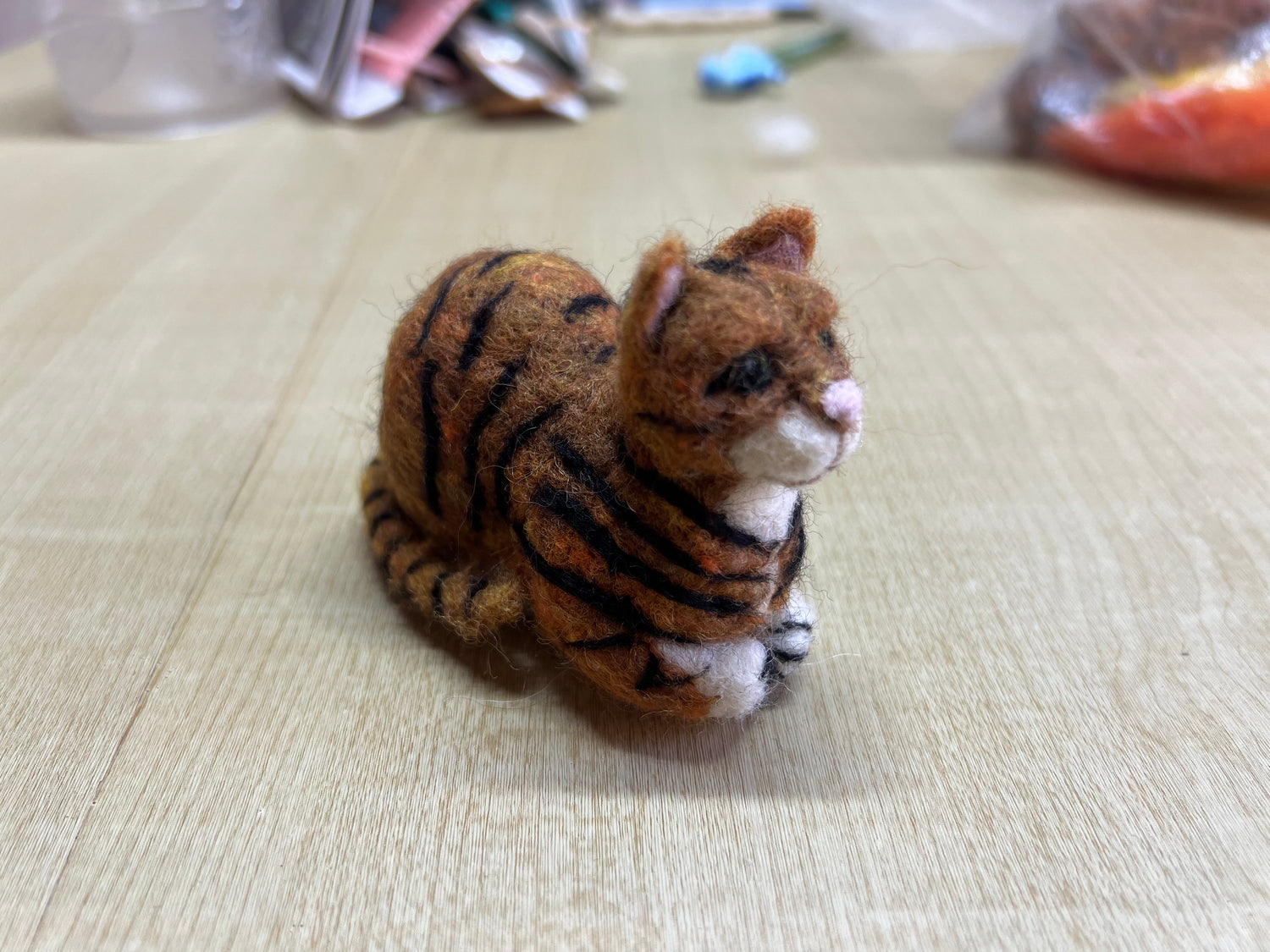 Tabby Cat