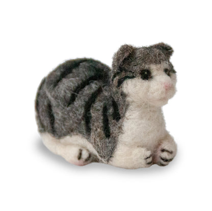 Raja: Silver Tabby Cat