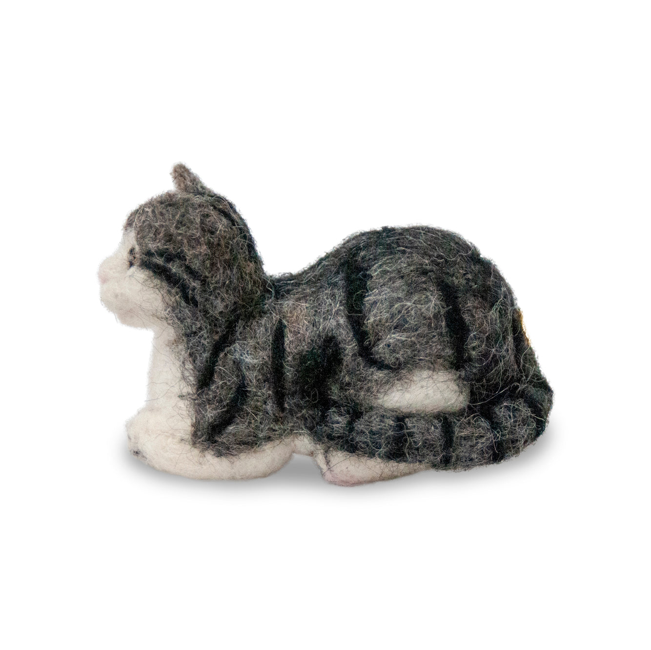Raja: Silver Tabby Cat