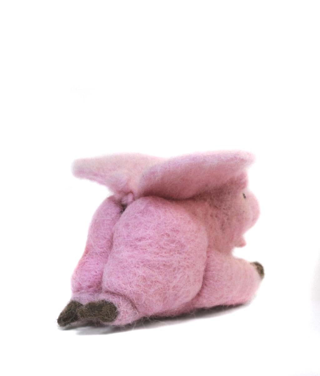 Angel Pig