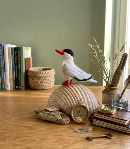 Arctic Tern