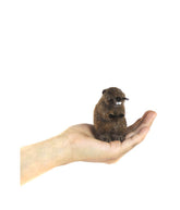 Beaver - Lanart Alpaca