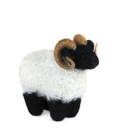 Blackface Ram - Lanart Alpaca