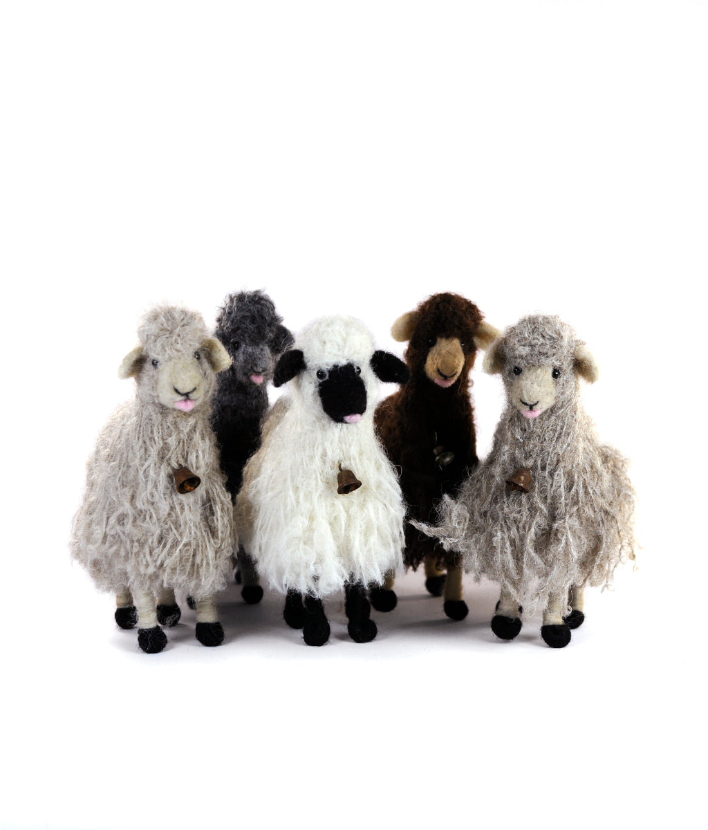 Bell Sheep