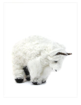 American Buffalo - Lanart Alpaca