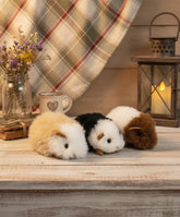 Chico Guinea Pig - Lanart Alpaca