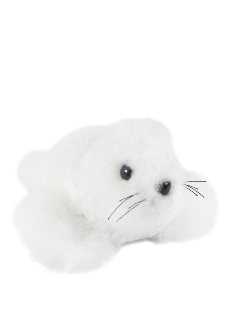 Chico Seal